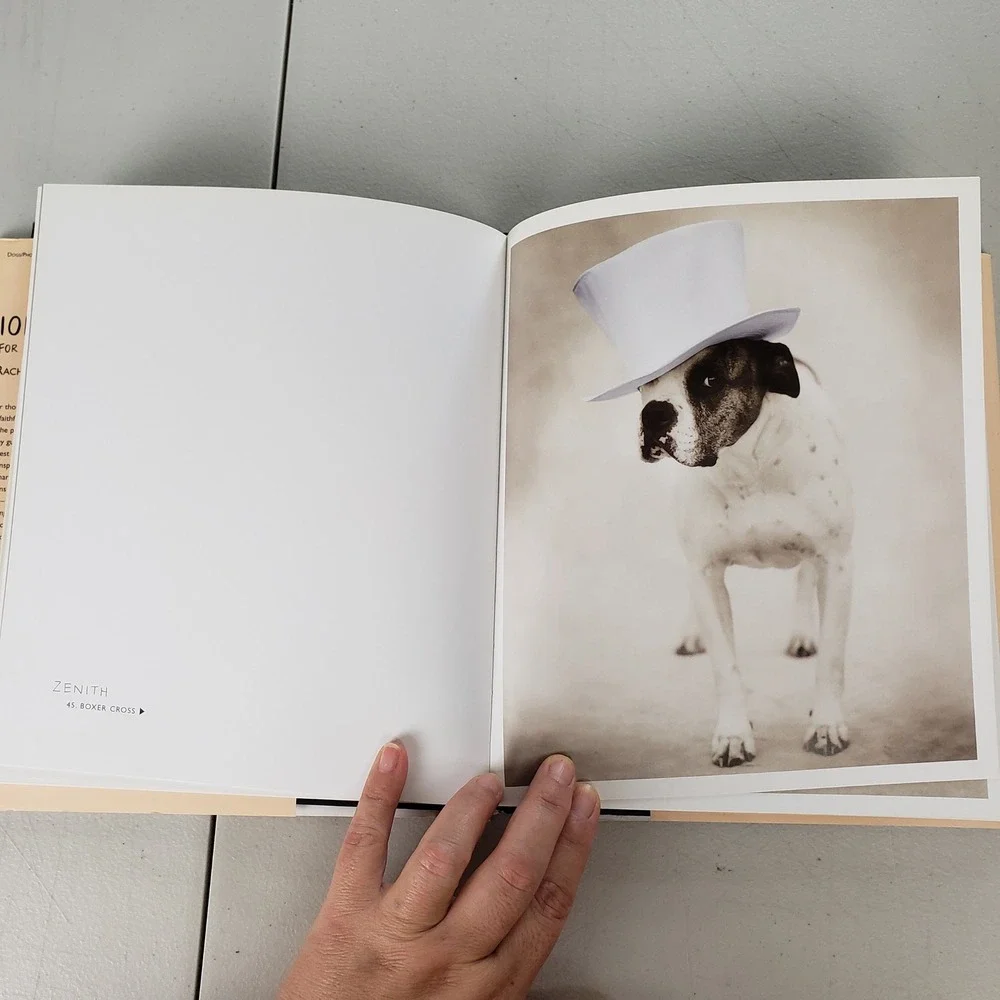 101 Salivations For the Love of Dogs Rachael Hale Hardcover Photography Book
